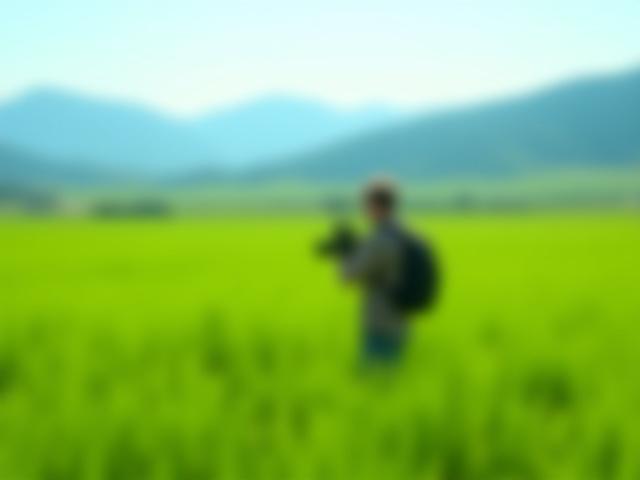 カメラを構える人、広がる野原